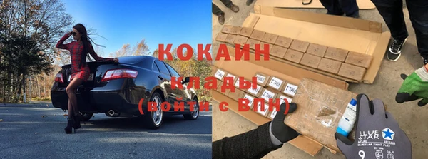 индика Армянск